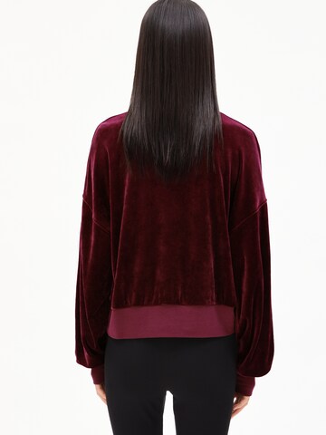 ARMEDANGELS Sweatshirt 'LEDIANAA' in Rood