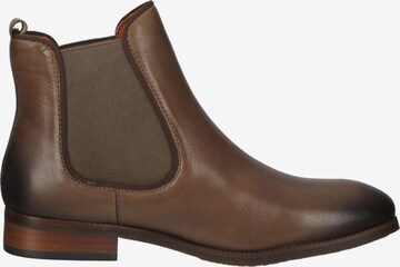 PIKOLINOS Chelsea Boots in Braun