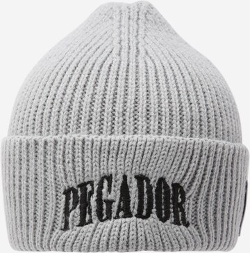 Pegador Beanie 'BURBANK' in Grey