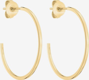 TAMARIS Earrings in Gold: front