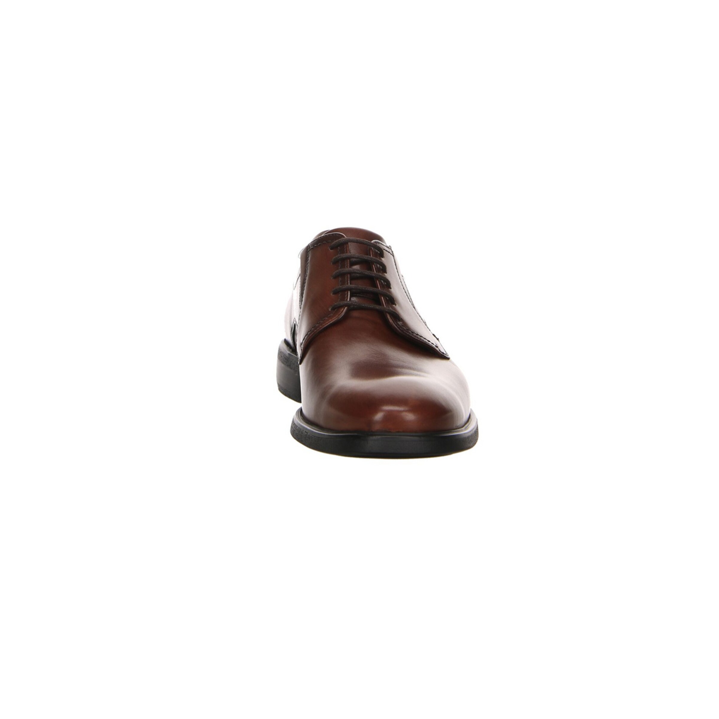 Scarpa stringata 'KENTUCKY' di LLOYD in marrone