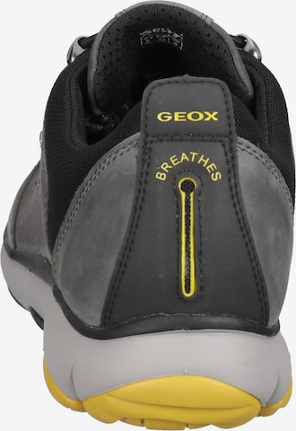 Baskets basses GEOX en gris