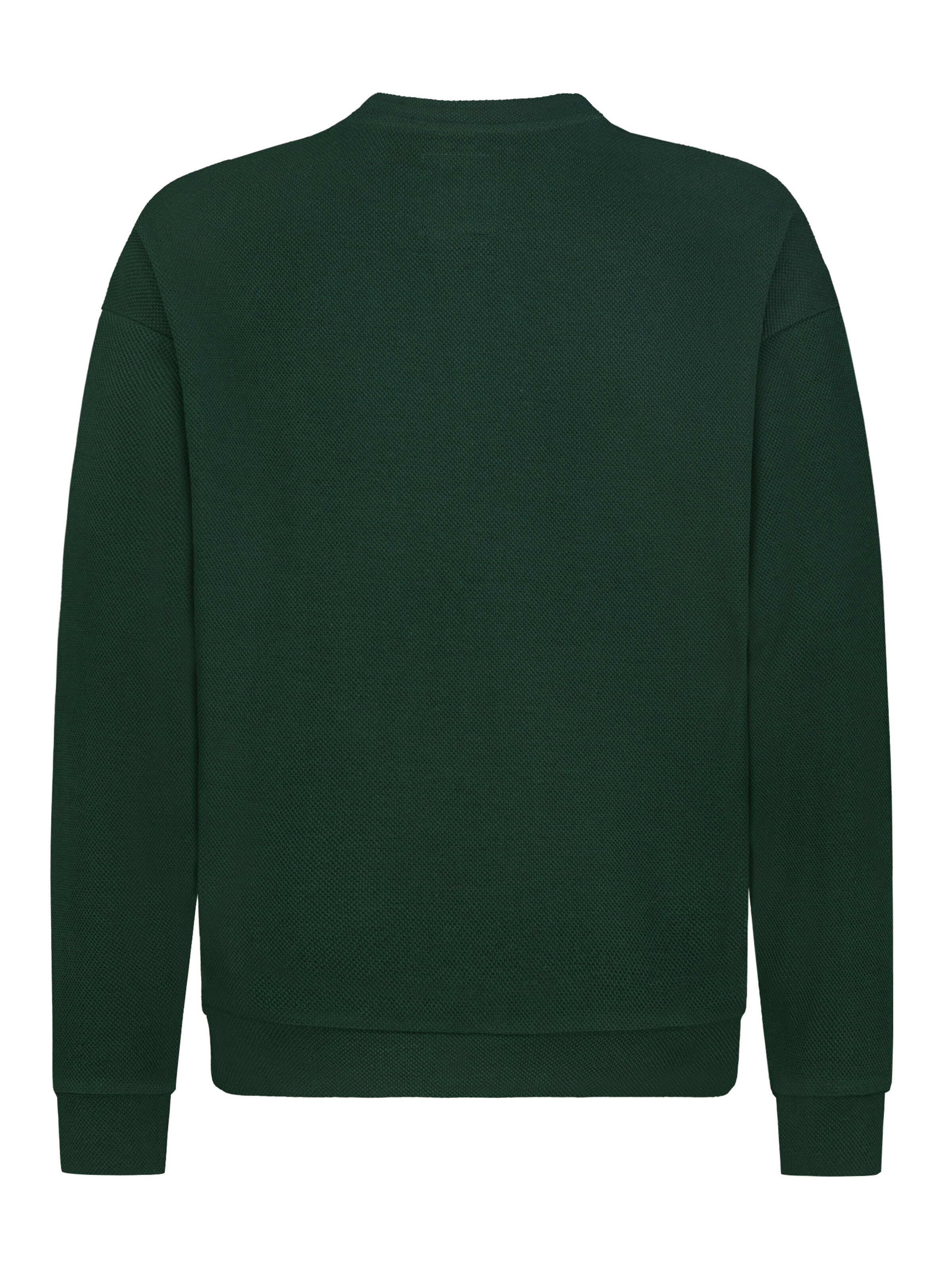 Eight2Nine Sweatshirt in Green
