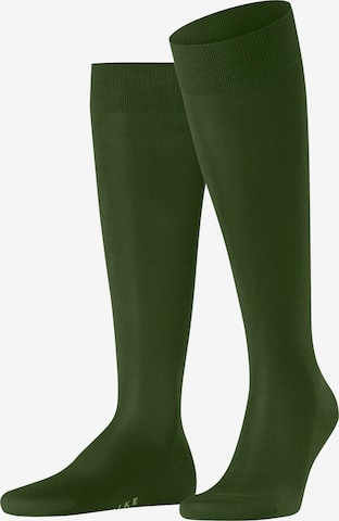 FALKE Knee High Socks 'Tiago' in Green: front