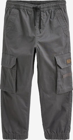Next Trousers in Grey: front