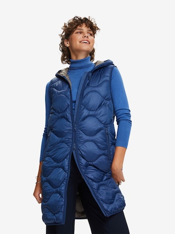 ESPRIT Bodywarmer in Blauw: voorkant