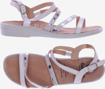 Ganter Sandalen 40,5 in Weiß: predná strana