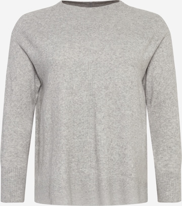 Forever New Pullover in Grau: predná strana