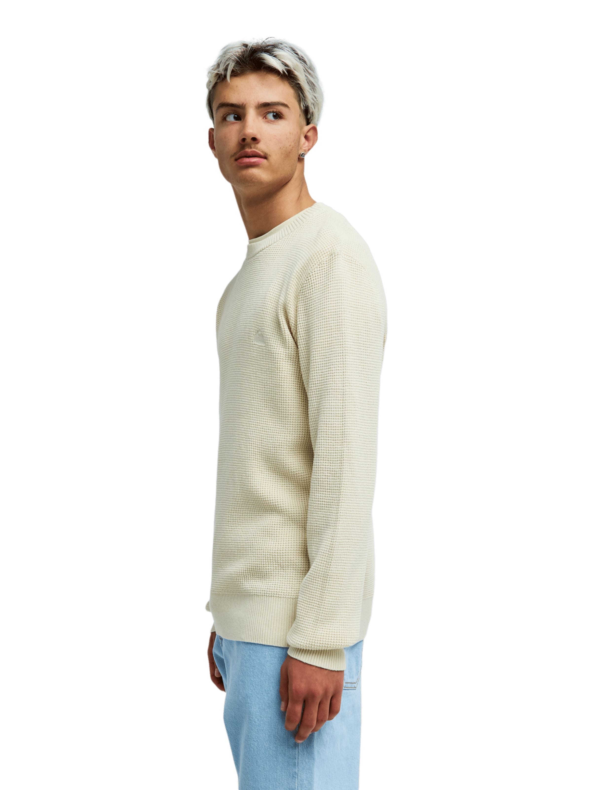 QUIKSILVER Sweatshirt 'Waffle' in Beige