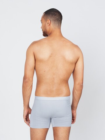 Erlich Textil Boxershorts'Gustav' in Grau