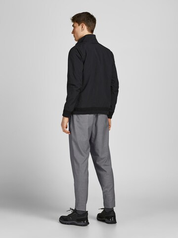 JACK & JONES Tapered Pants 'Ace Frankie' in Grey