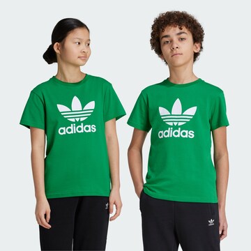 ADIDAS ORIGINALS Shirt 'Adicolor Trefoil' in Green: front