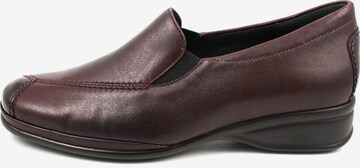 SEMLER Classic Flats in Brown