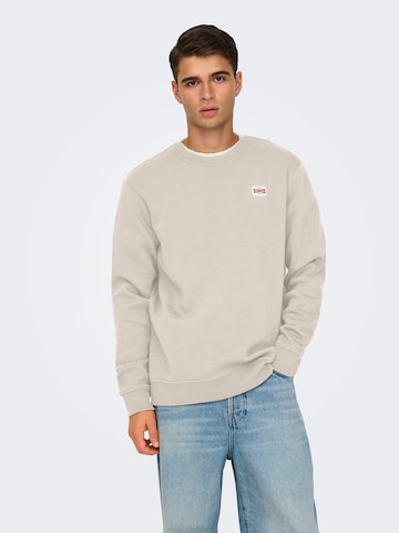 Only & Sons Sweatshirt 'ONSDAWSON' in Grey: front