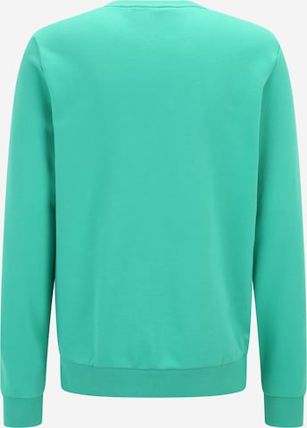 OAKLEY - Sweatshirt de desporto em verde