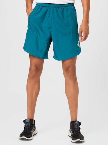 ADIDAS SPORTSWEAR Normální Sportovní kalhoty 'Designed for Training' – modrá: přední strana