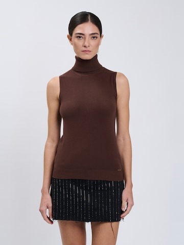 Influencer Sweater in Brown: front