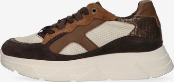 Tango Sneakers 'Kady fat 25-d' in Brown: front