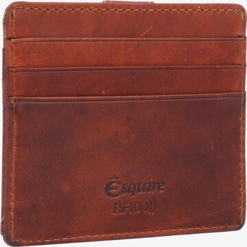 Esquire Wallet 'Oslo Dallas' in Brown