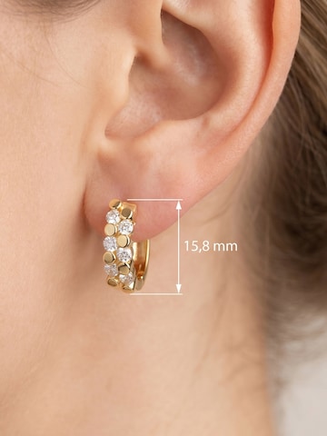 Jobo Earrings in Gold