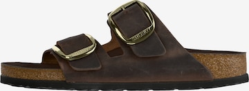 ruda BIRKENSTOCK Šlepetės 'Arizona': priekis