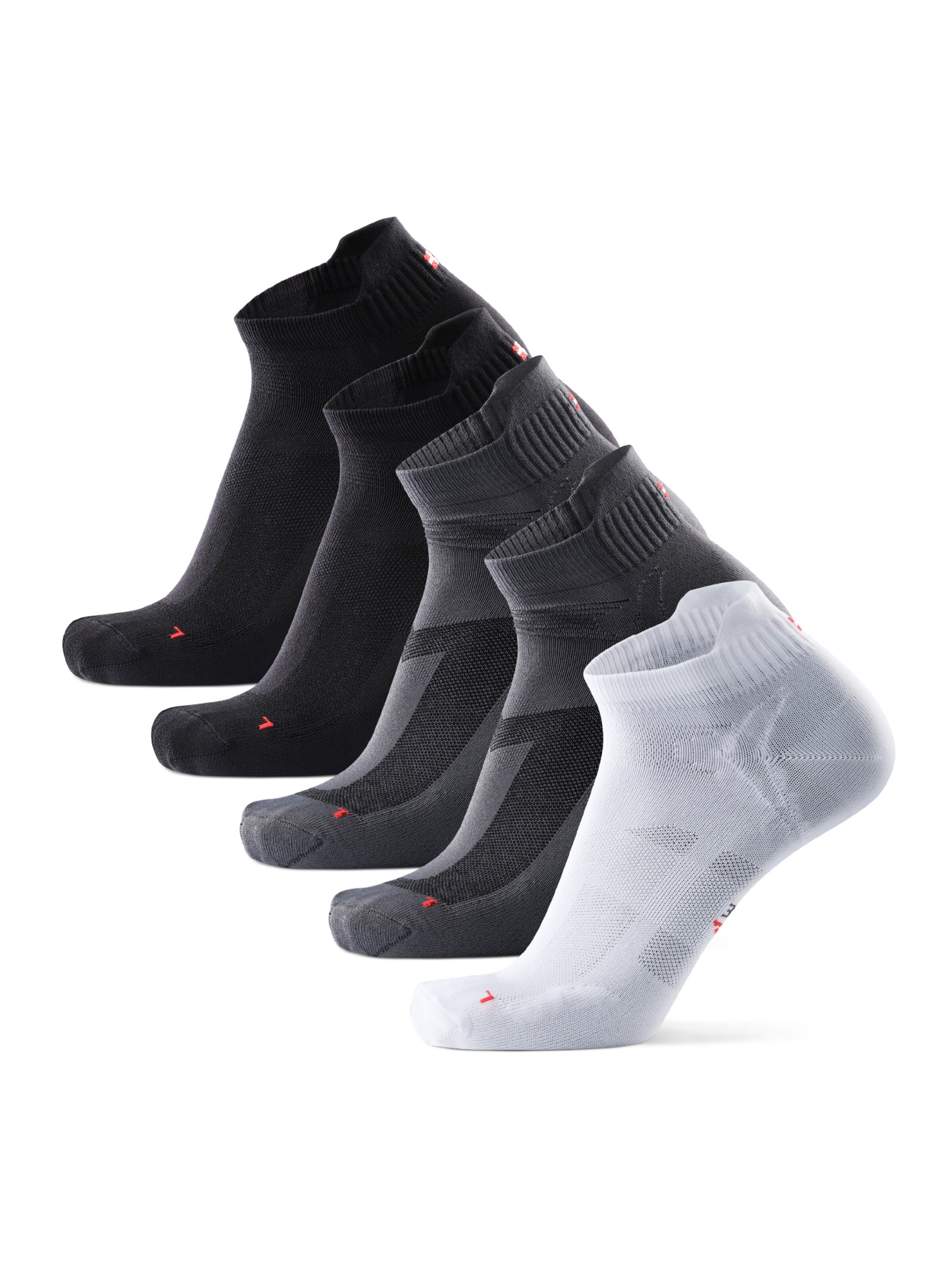 DANISH ENDURANCE Sportssokker 'Classic Sports Low-cut' i grå: forside