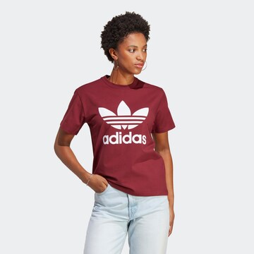 T-shirt 'Adicolor Classics Trefoil' ADIDAS ORIGINALS en rouge : devant