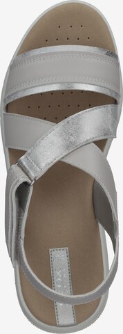 GEOX Sandals in Grey