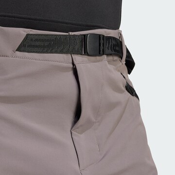 ADIDAS TERREX Regular Outdoor trousers 'Xperior' in Brown
