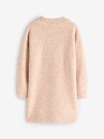 Next Dress in Beige