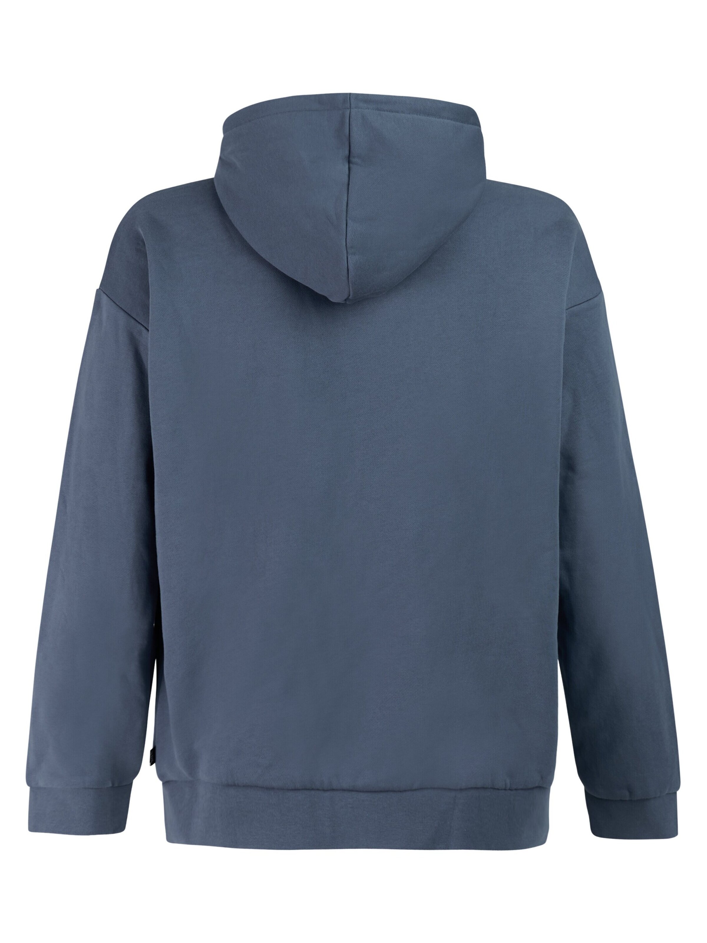 PROTEST Trui 'PRTRoman' in Blauw