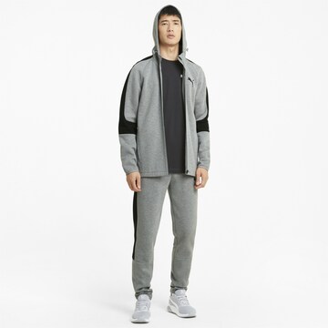 PUMA Zip-Up Hoodie 'Evostripe' in Grey