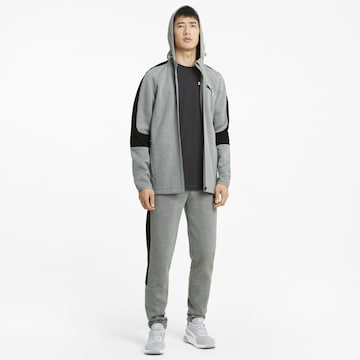 PUMA Sweatjacke 'Evostripe' in Grau