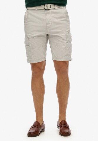 Superdry Regular Cargo trousers in Grey: front