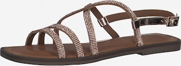 TAMARIS Strap sandal in Brown: front