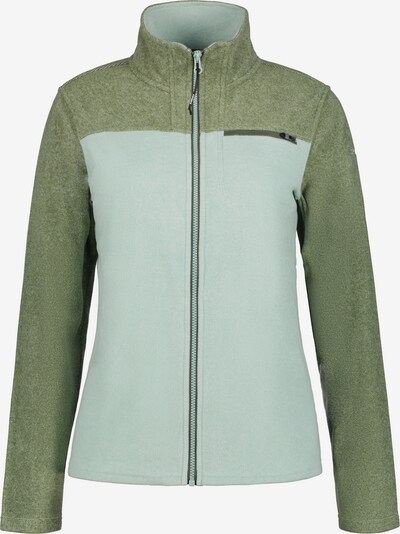 ICEPEAK Functionele fleece jas 'Medford' in de kleur Lichtblauw / Pastelgroen, Productweergave