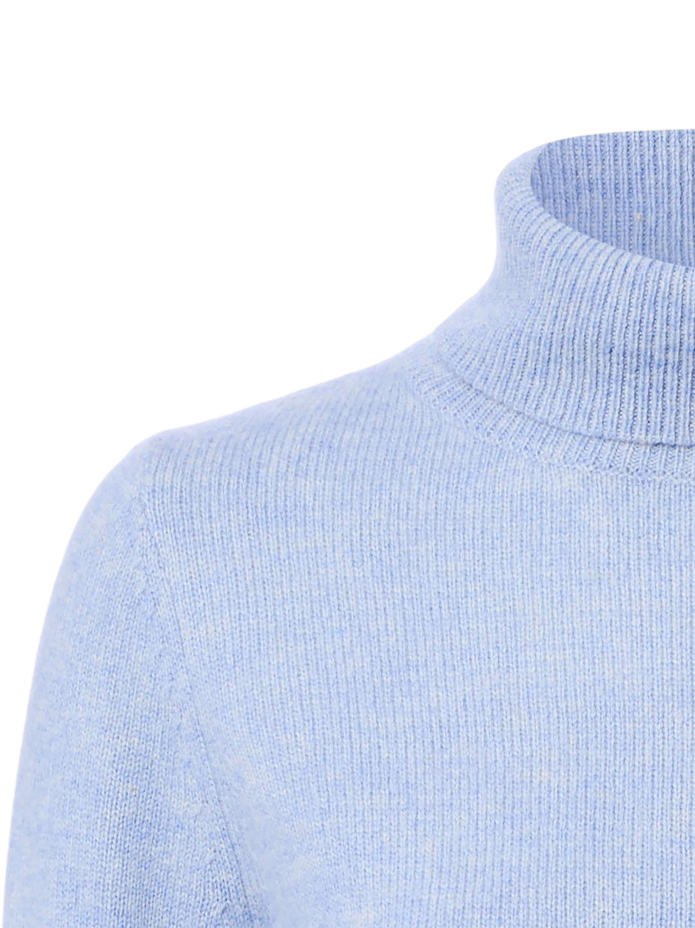 Brookshire Trui in Blauw