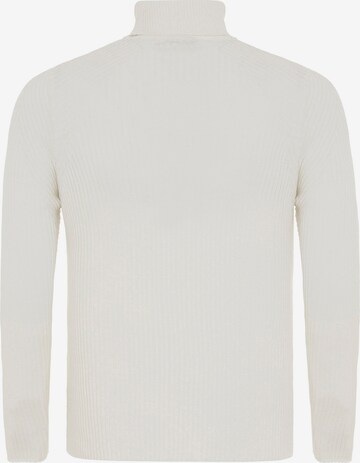 Redbridge Pullover in Beige