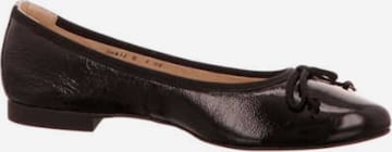 Paul Green Ballet Flats in Brown