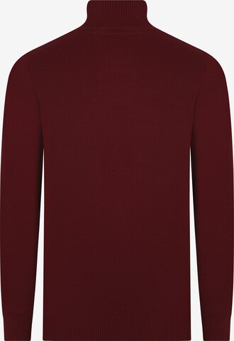 DENIM CULTURE Sweater 'Giotto' in Red