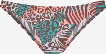 VENICE BEACH Bikini Bottoms in Brown: front