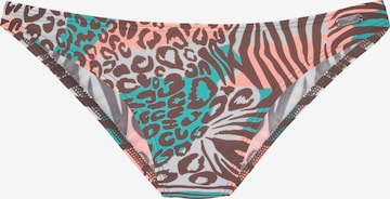 VENICE BEACH Bikinibroek in Bruin: voorkant