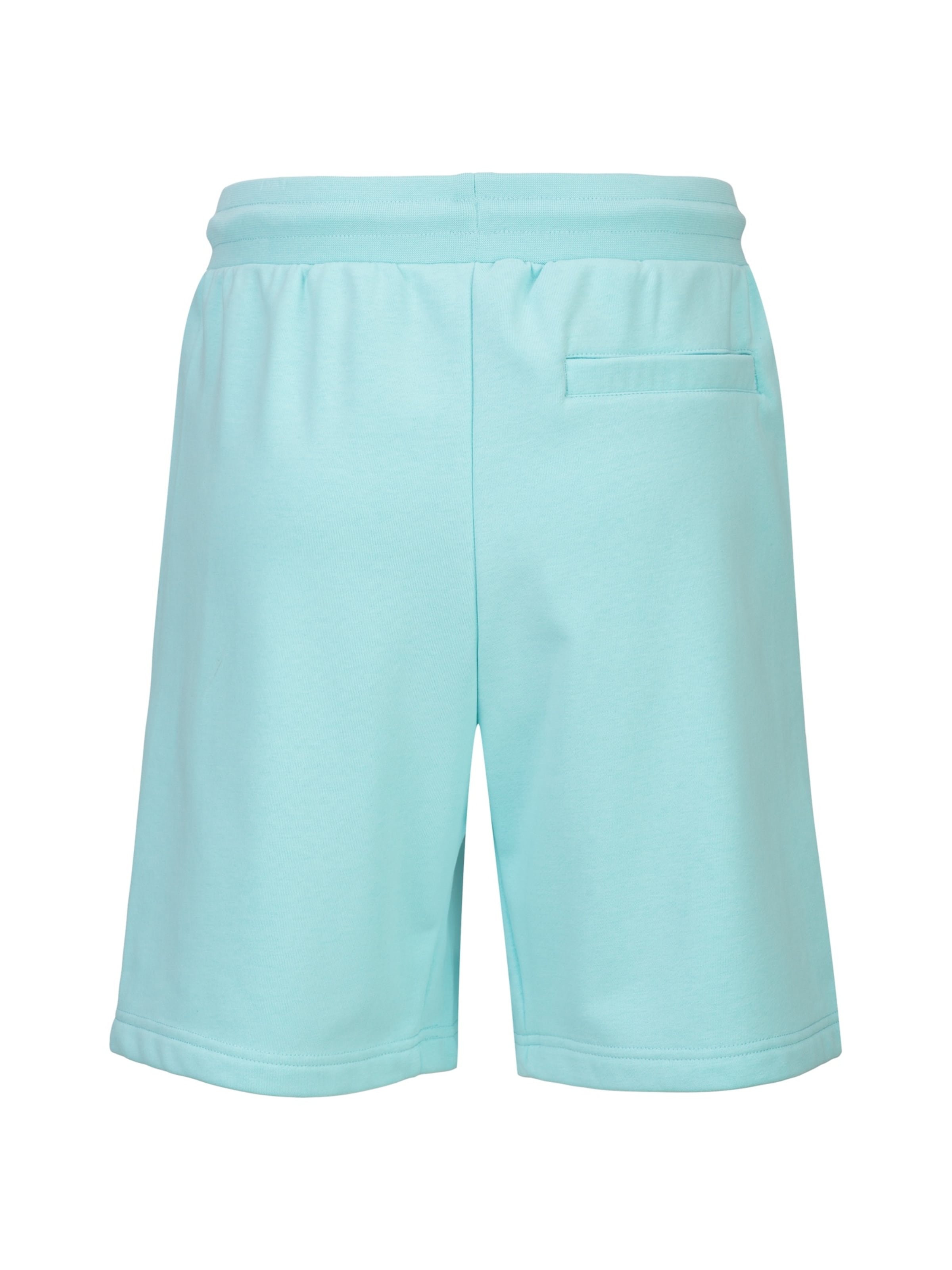 19V69 ITALIA Regular Trousers 'Sergio' in Green