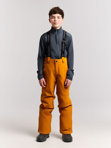 PROTEST Regular Sports trousers 'Spikety JR' in Brown
