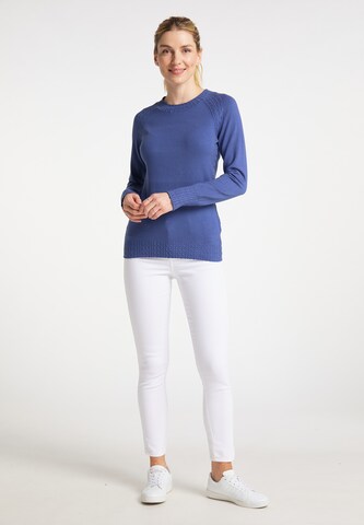 usha BLUE LABEL Sweater in Blue