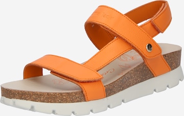 PANAMA JACK Sandals 'Selma B14' in Orange: front