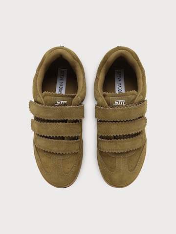 Sneaker bassa 'Daybreak' di STEVE MADDEN in verde