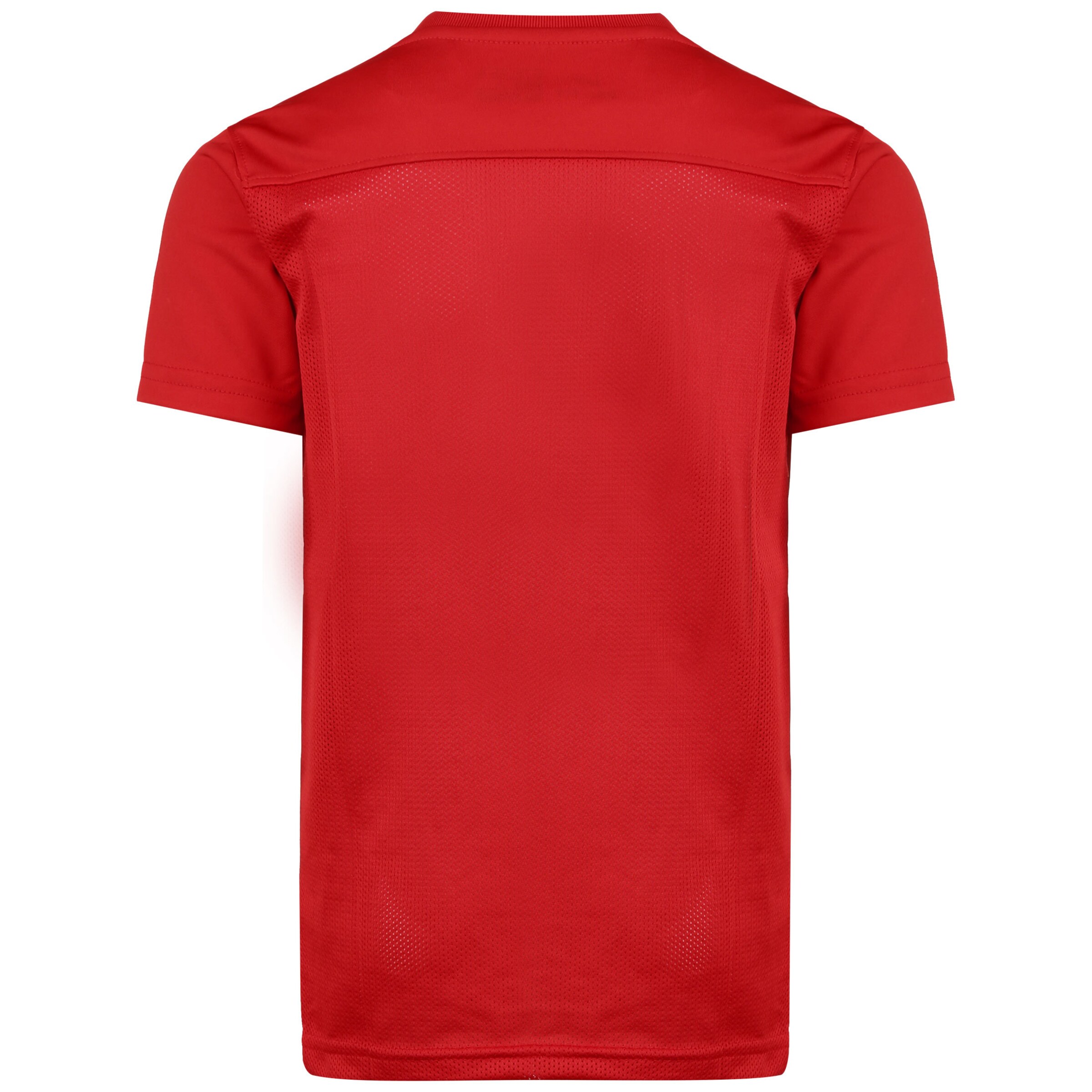 NIKE Performance Shirt 'Park VII' in Red