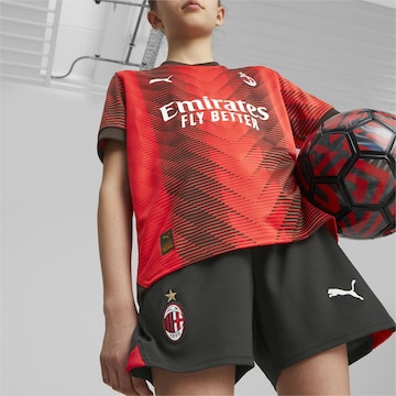 PUMA Regular Sportbroek 'AC Milan' in Bruin