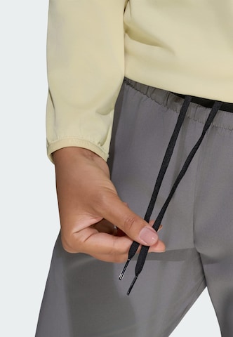 Regular Pantalon outdoor 'Liteflex' ADIDAS TERREX en gris